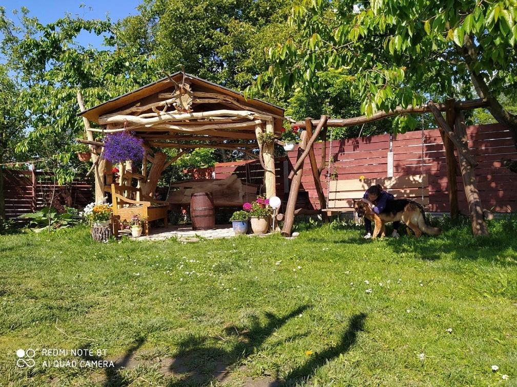 Agroturystyka Pod Kogutem Zamość Екстериор снимка