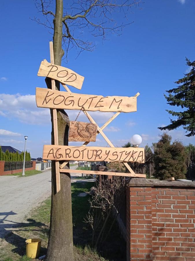 Agroturystyka Pod Kogutem Zamość Екстериор снимка
