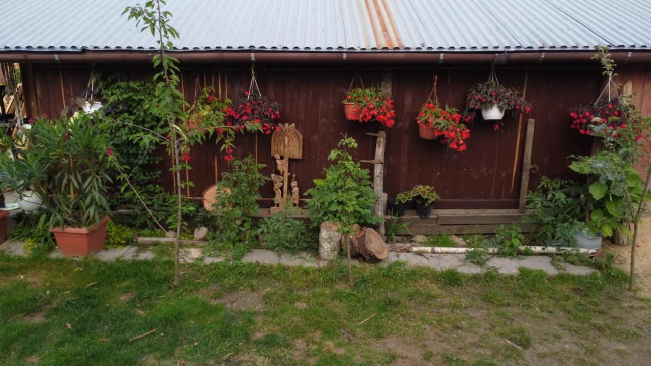 Agroturystyka Pod Kogutem Zamość Екстериор снимка