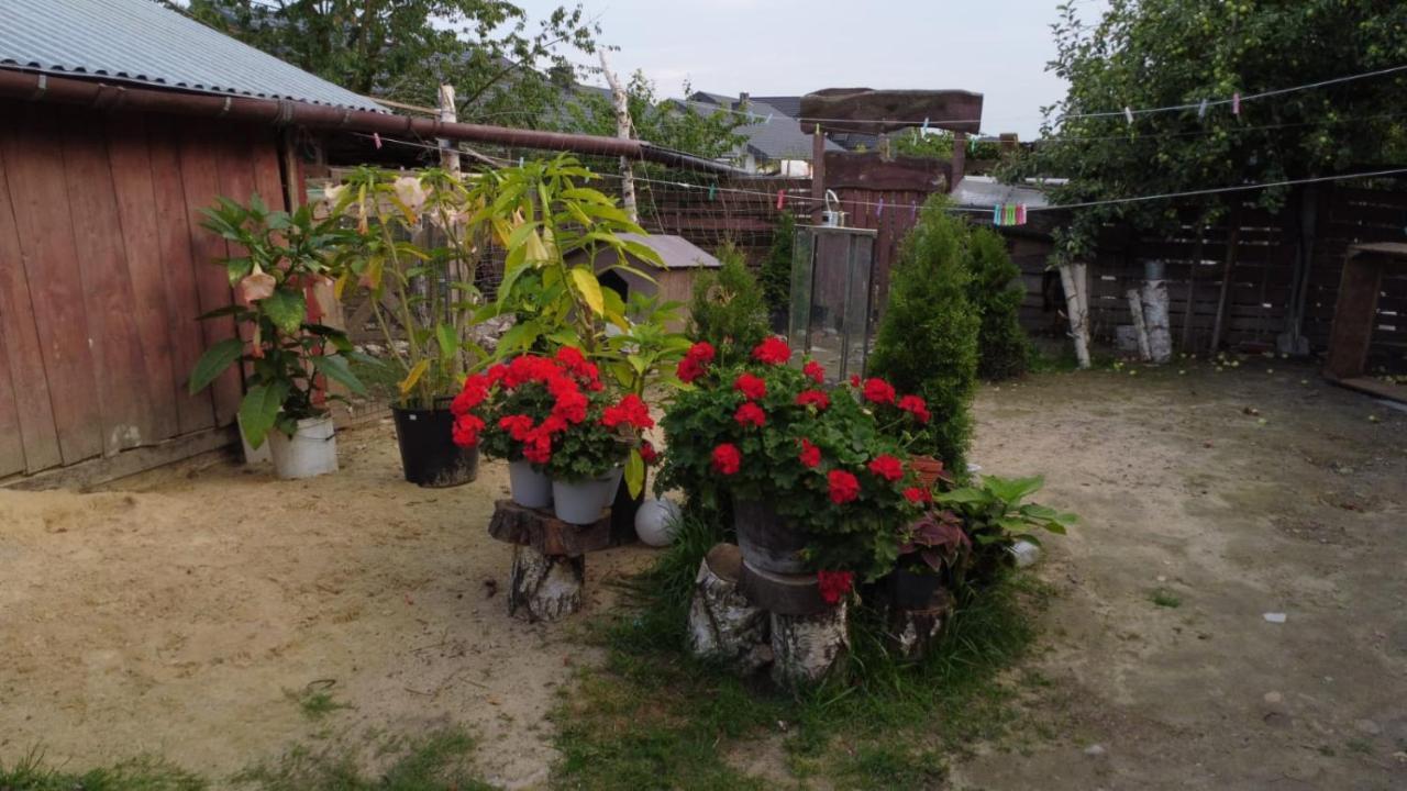 Agroturystyka Pod Kogutem Zamość Екстериор снимка