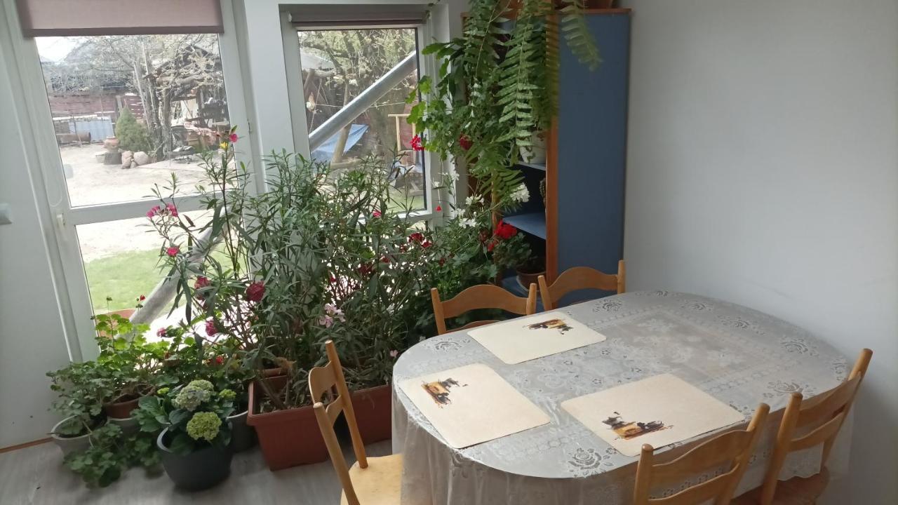 Agroturystyka Pod Kogutem Zamość Екстериор снимка