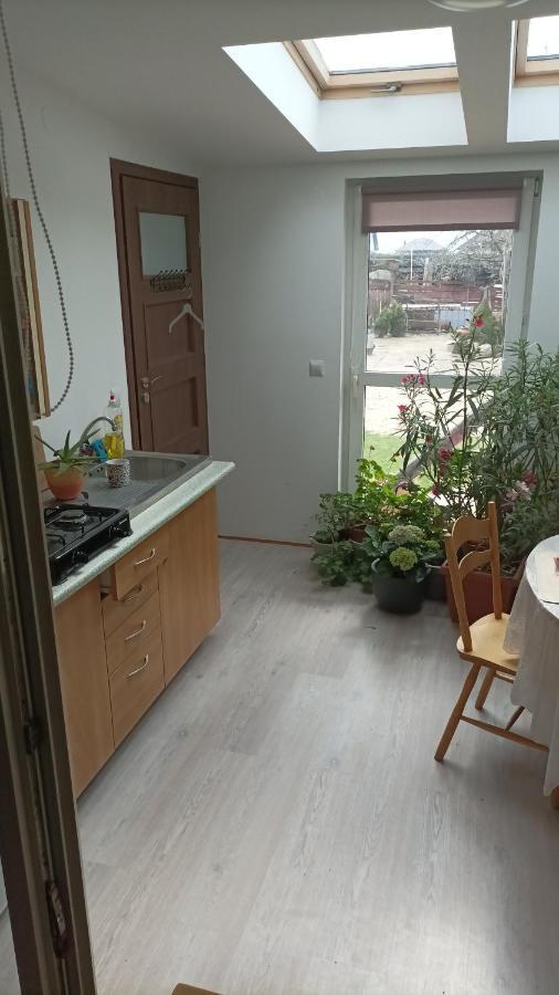 Agroturystyka Pod Kogutem Zamość Екстериор снимка